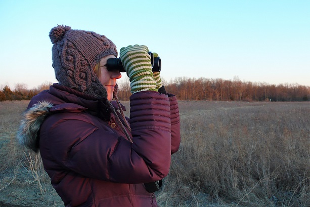 woman holds binoculars while birdwatching in early winter in a grassland - Photo by L Heady