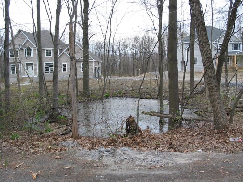A housing development encroaches upon what's left of woods and a small woodland pool. Photo by Scott Cuppett