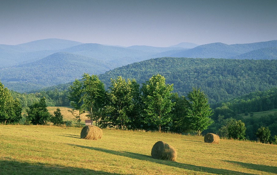 View across a hay field toward forest slopes of the Renssealer Plateau - by Nate Simms