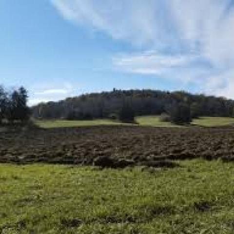 View of farm with tilled fields and a forested hill in the background.
